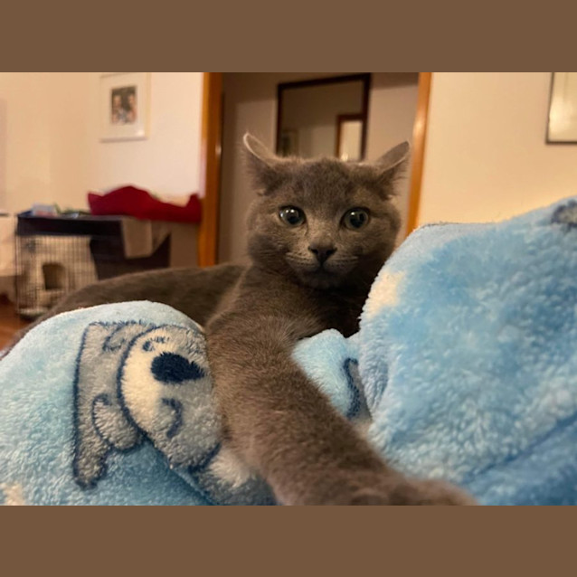 Photo of Pepper