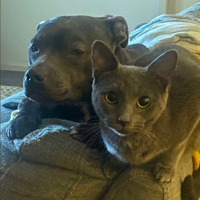 Photo of Pepper