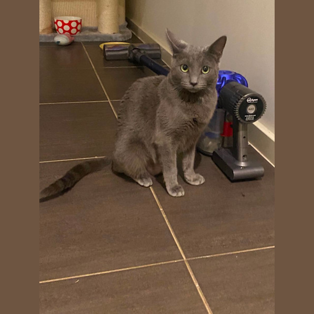 Photo of Pepper