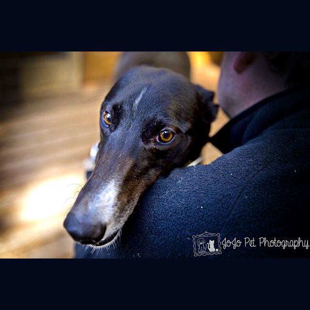 Photo of Stella