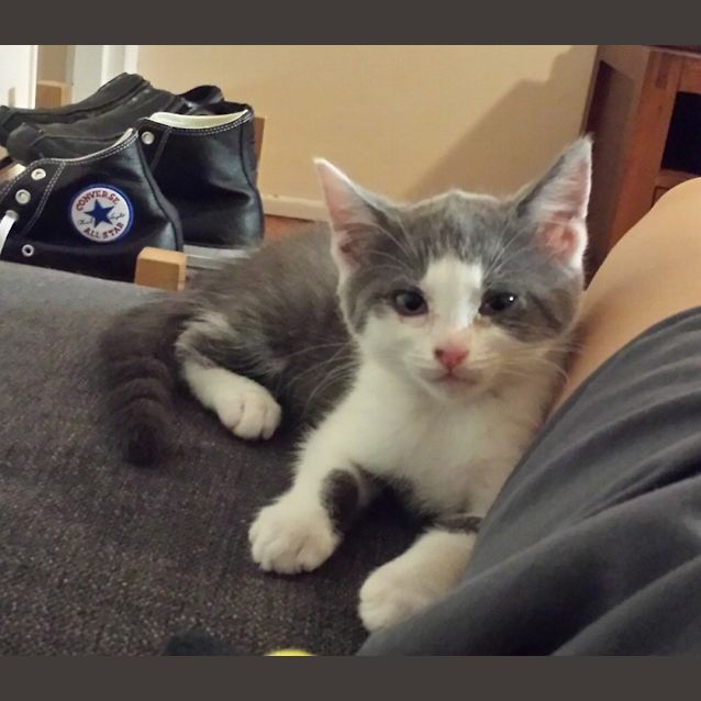 Photo of Charlie
