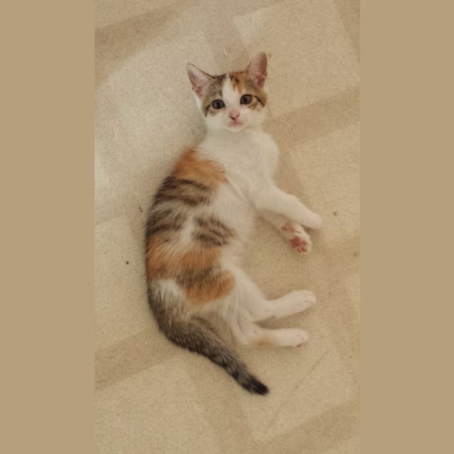 Photo of Chloe