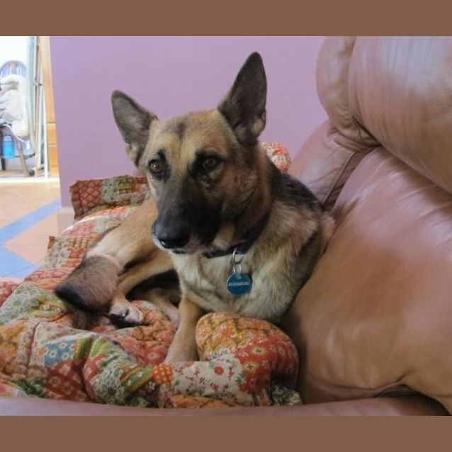 Photo of Lexie