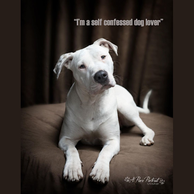 Photo of Dewberry