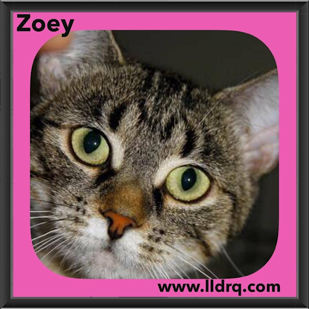 Photo of Zoey