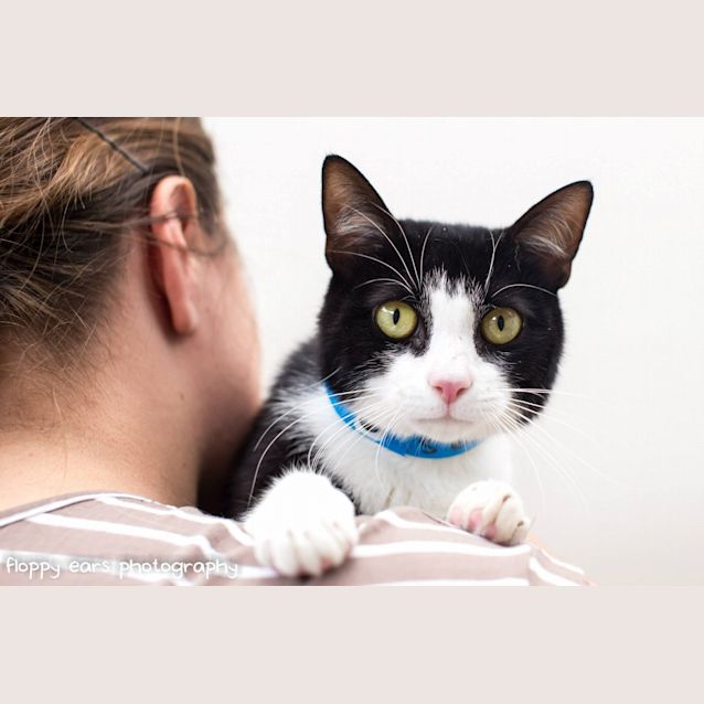 Photo of Oscar Wilde   Has A Must Read Profile