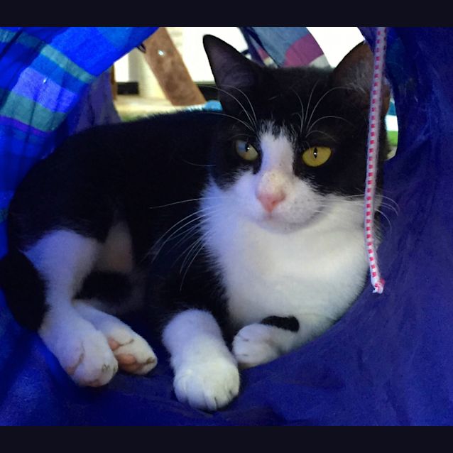 Photo of Oscar Wilde   Has A Must Read Profile