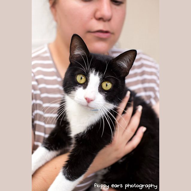 Photo of Oscar Wilde   Has A Must Read Profile