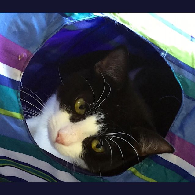 Photo of Oscar Wilde   Has A Must Read Profile