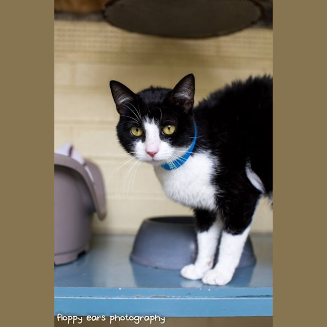 Photo of Oscar Wilde   Has A Must Read Profile