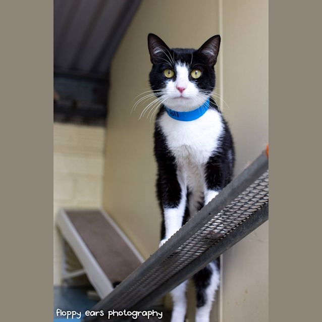 Photo of Oscar Wilde   Has A Must Read Profile