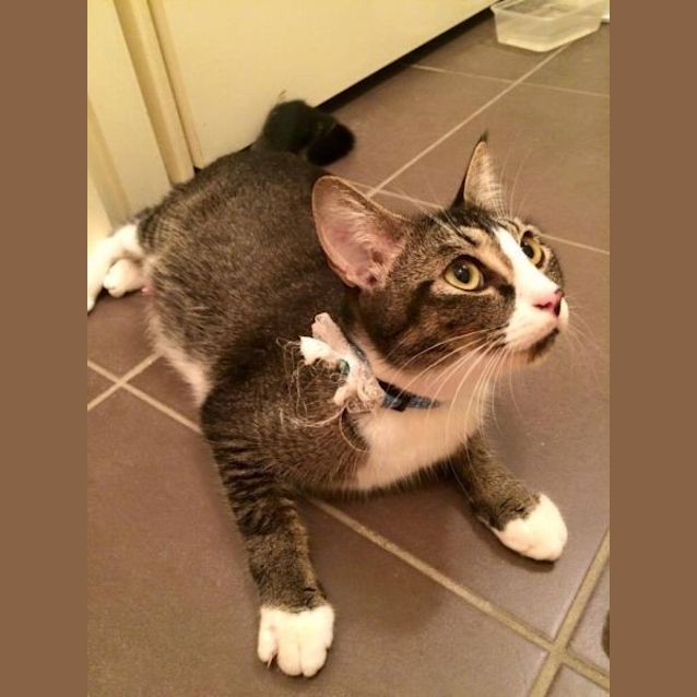 Photo of Abby