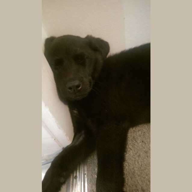 Photo of Eli