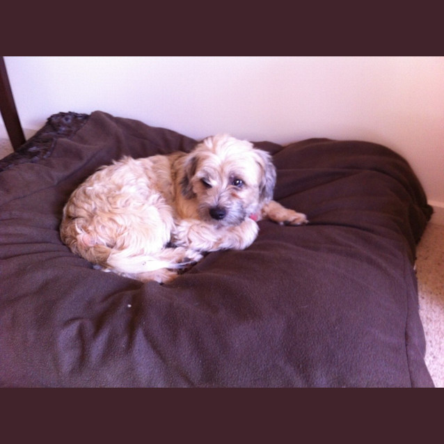 Photo of Leroy