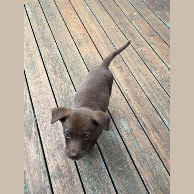 Photo of Nessie