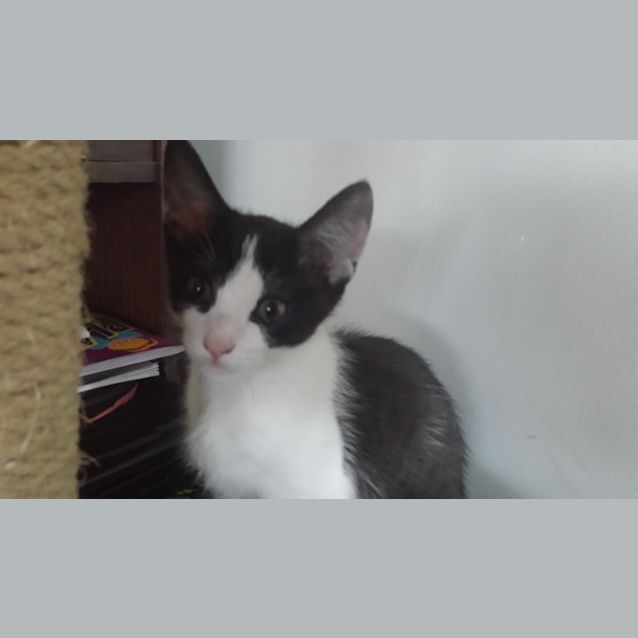 Photo of Milly