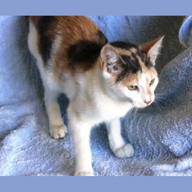 Photo of Little Miss