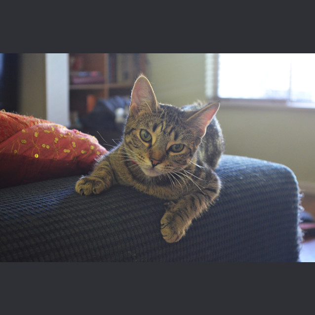 Photo of Jemima