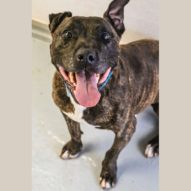 Photo of Arnie ~ #1500483