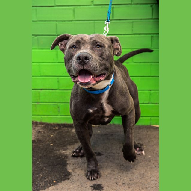 Photo of Buster ~ #1500585