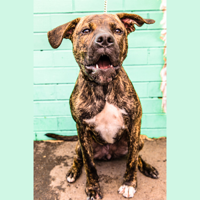 Photo of Bella ~ #1500616