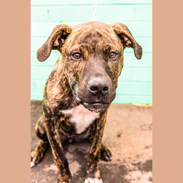 Photo of Bella ~ #1500616