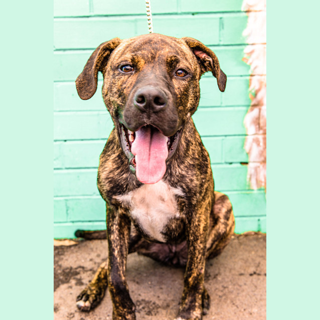 Photo of Bella ~ #1500616