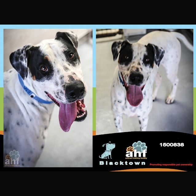 Photo of Danny ~ #1500838