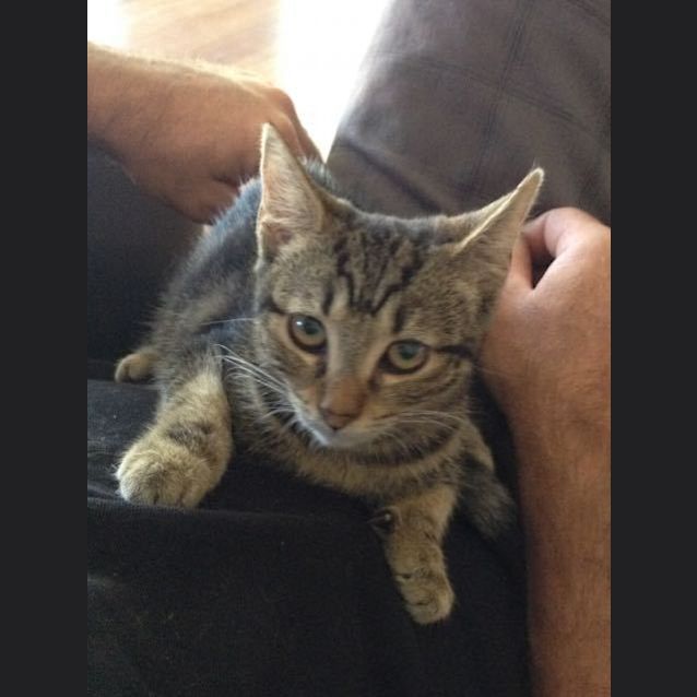 Photo of Lulu