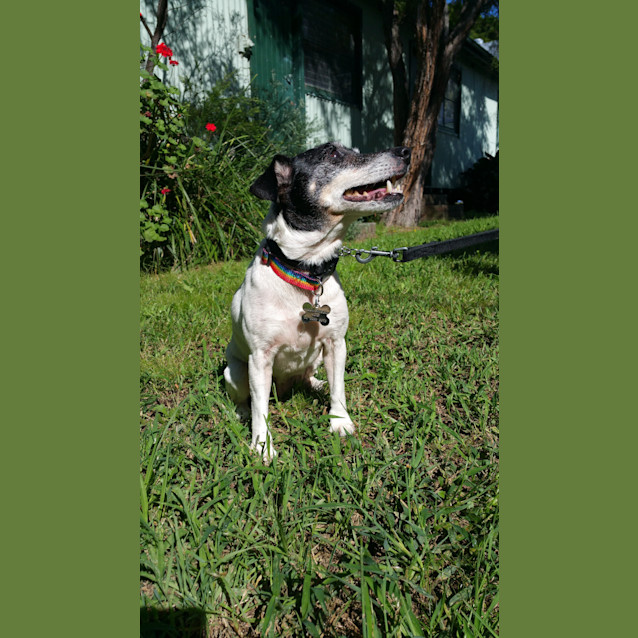 Photo of Maxi