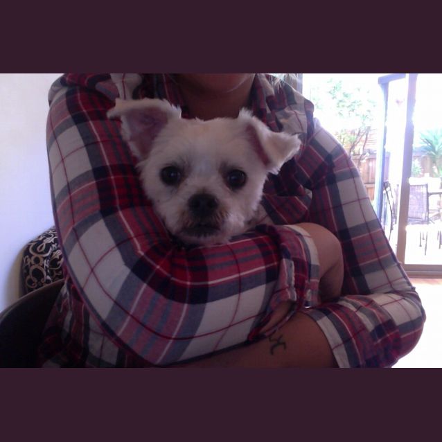 Photo of Rumi & Julie