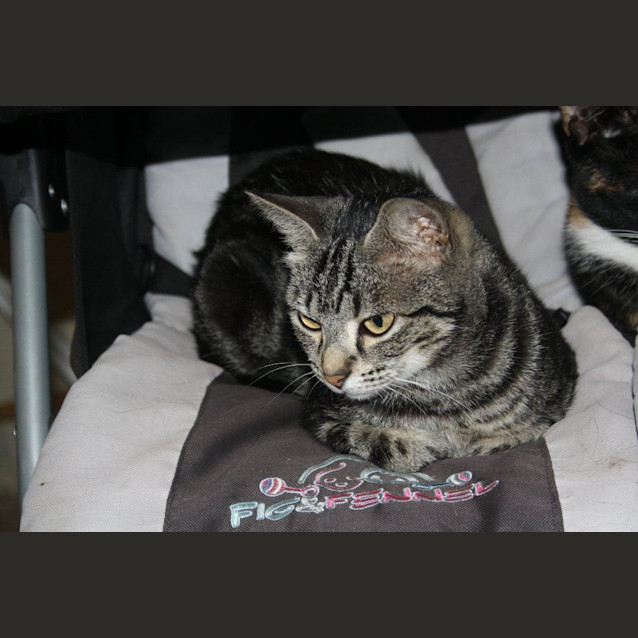 Photo of Bell Ec0110