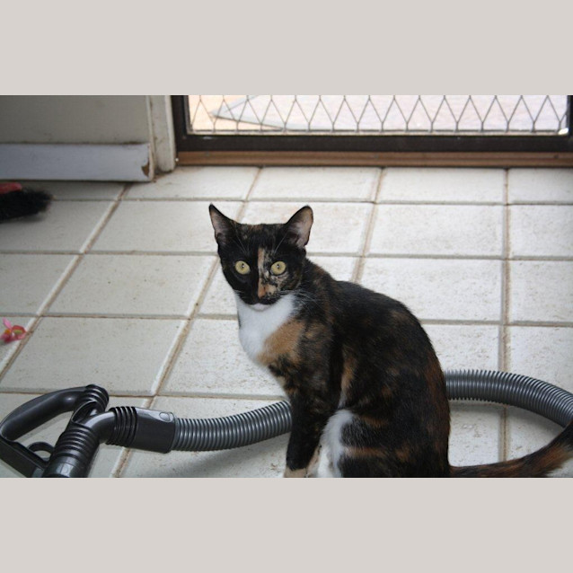 Photo of Lila Ec0111