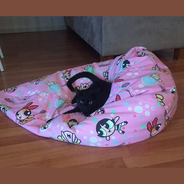 Photo of Ringo Ec0073