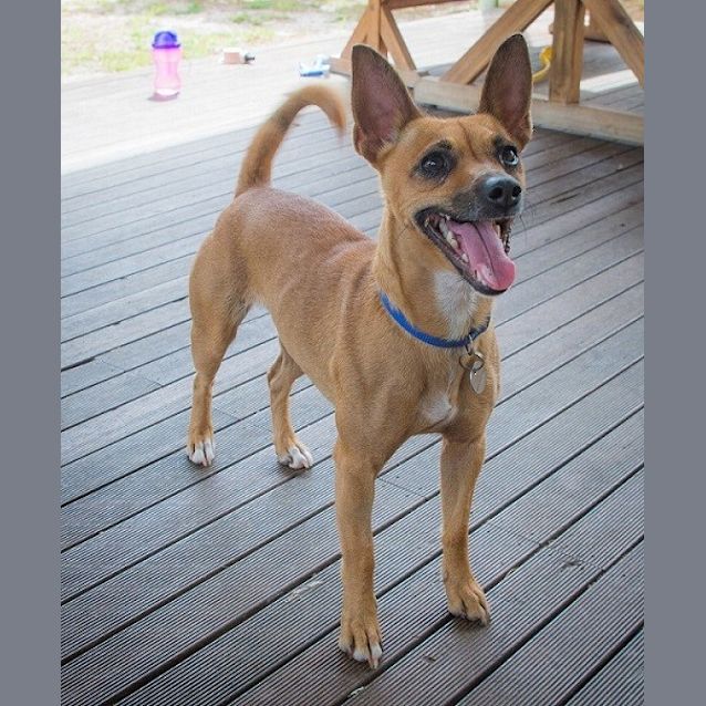 Photo of Ella Ed0014 