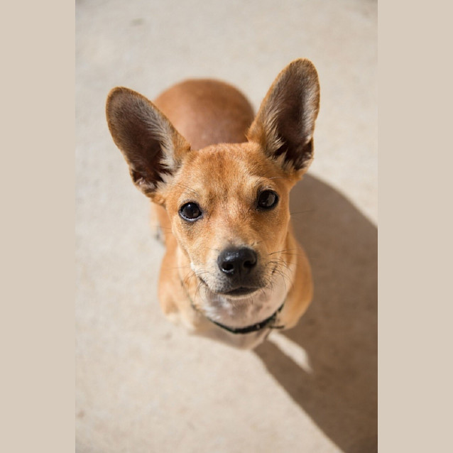 Photo of Brien Ed0016