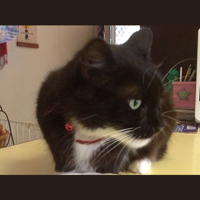 Photo of Tom