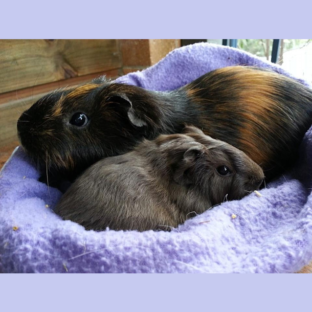 Photo of Amy And Claudia