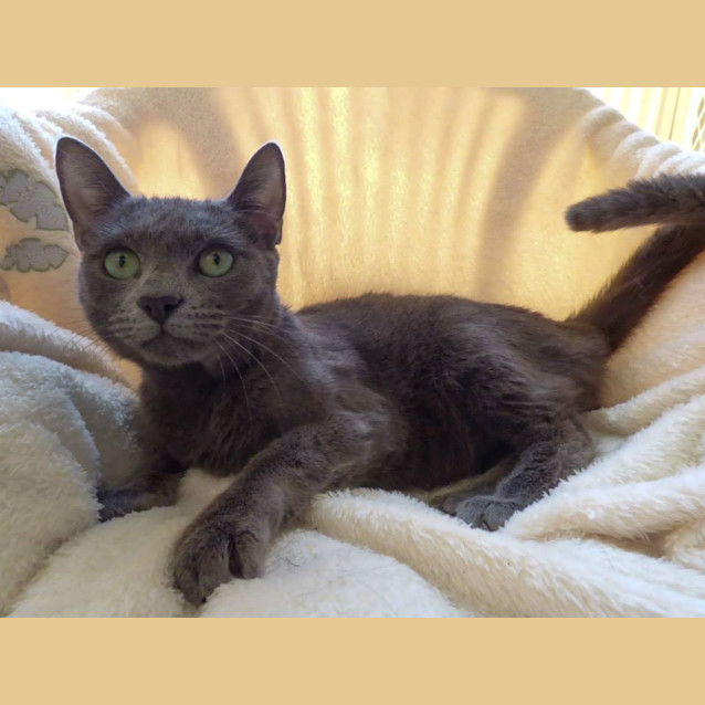 Photo of Storm