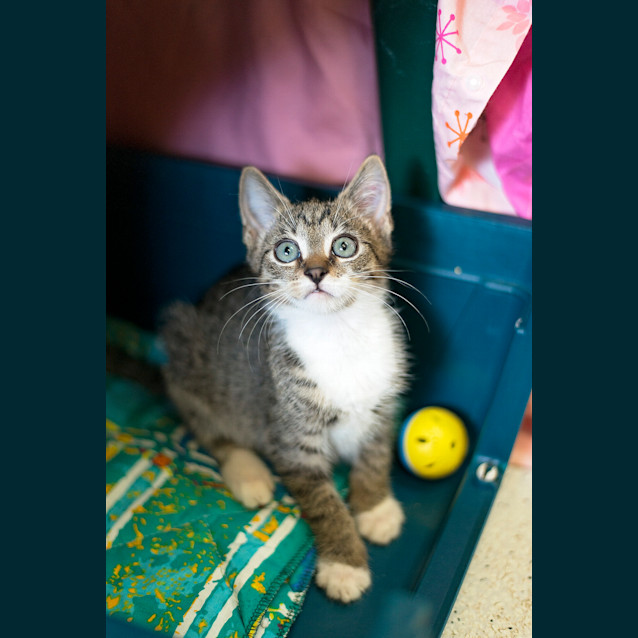 Photo of Christchurch