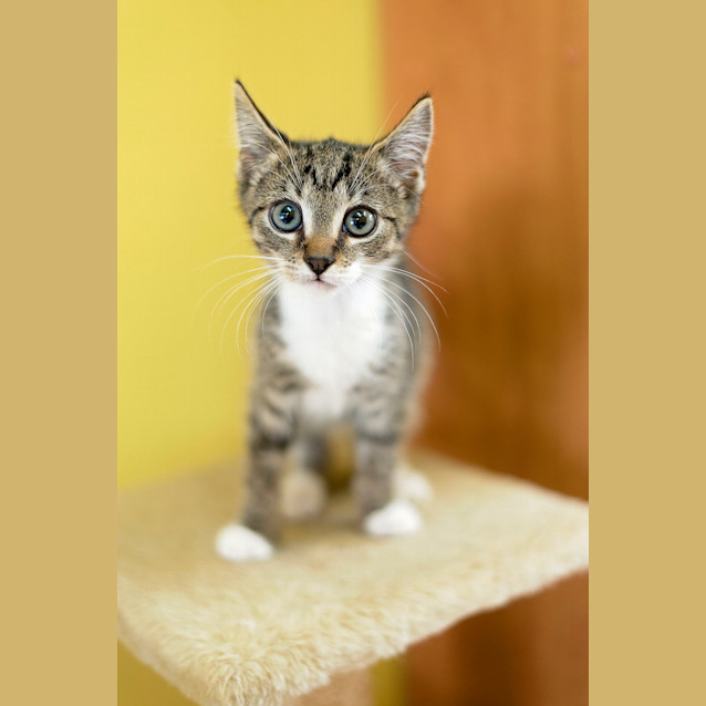 Photo of Christchurch