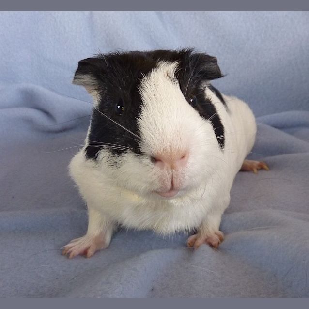 Photo of William