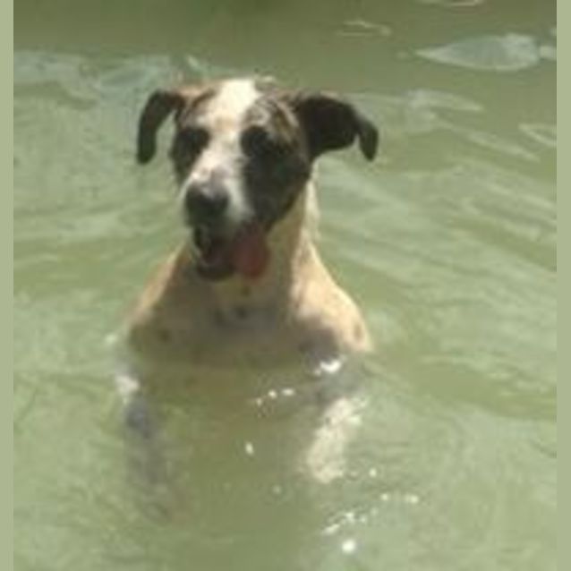 Photo of Sasha