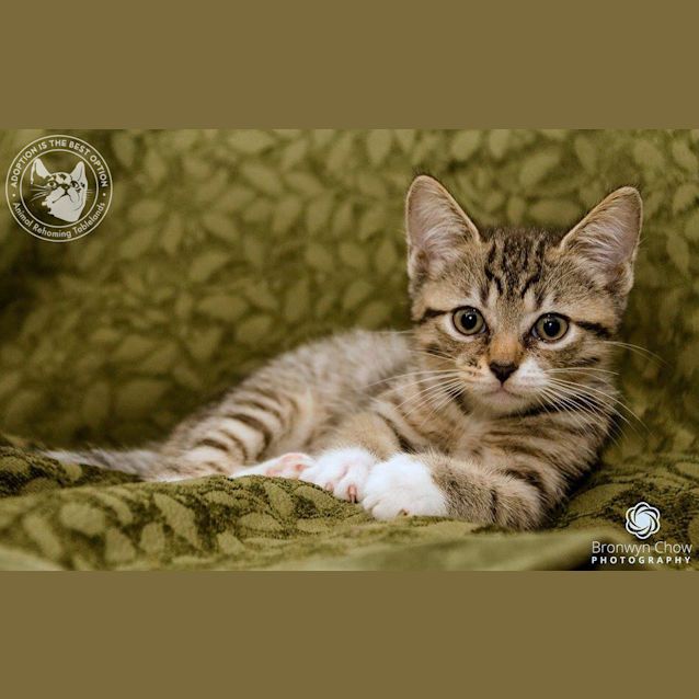 Photo of Winston