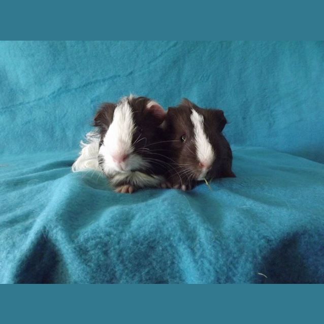 Photo of Hugh And Neo
