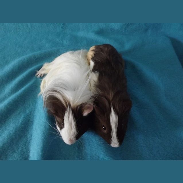 Photo of Hugh And Neo