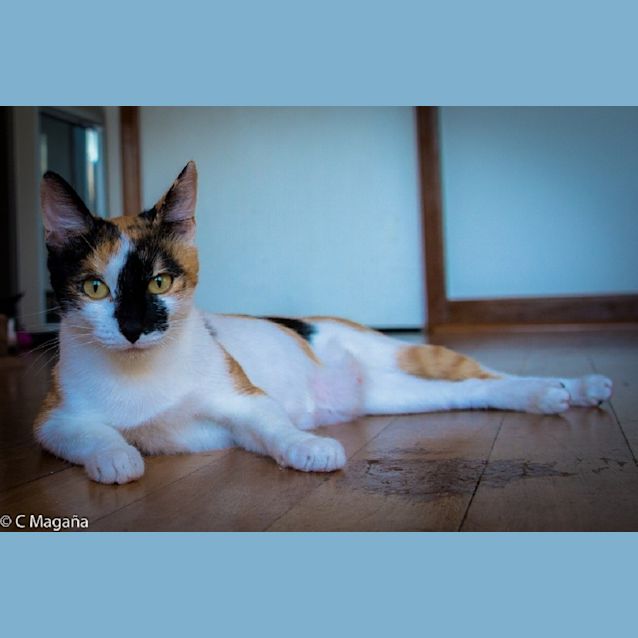 Photo of Zena Ec0095 