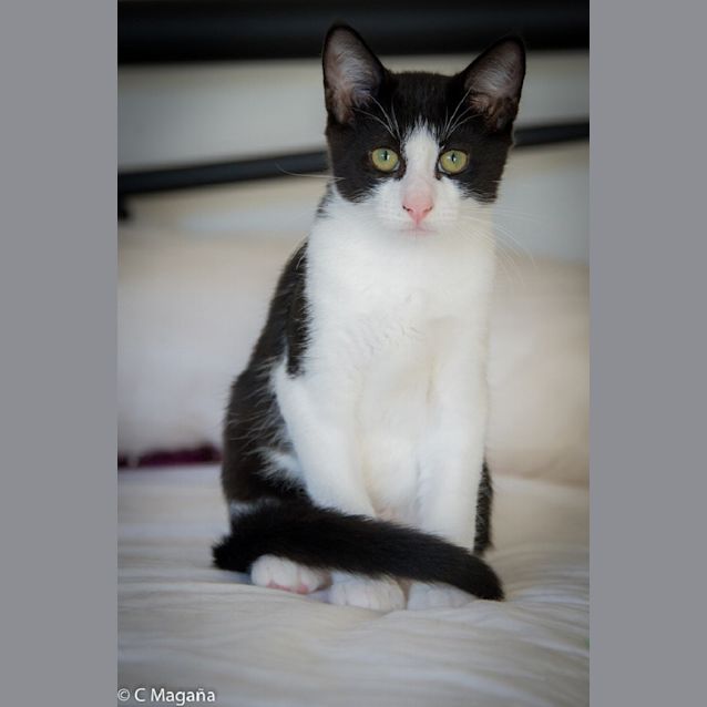 Photo of Paddy Ec0107