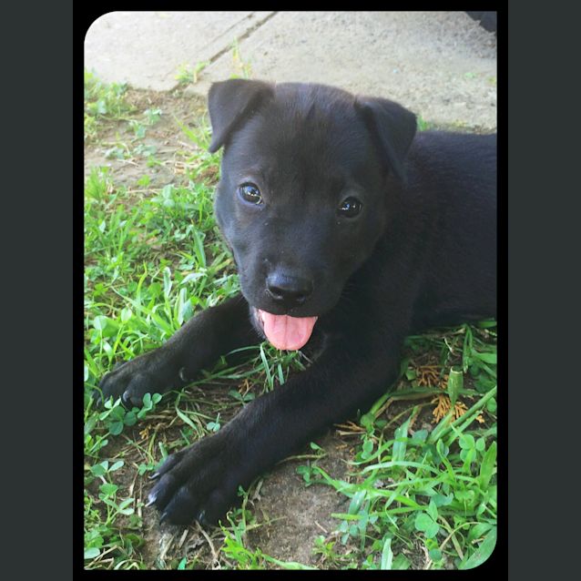 Photo of Razor