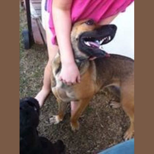 Photo of Shiloh (Adoption Pending)